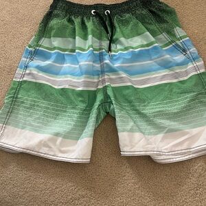 Green and Blue Striped Swim trunks